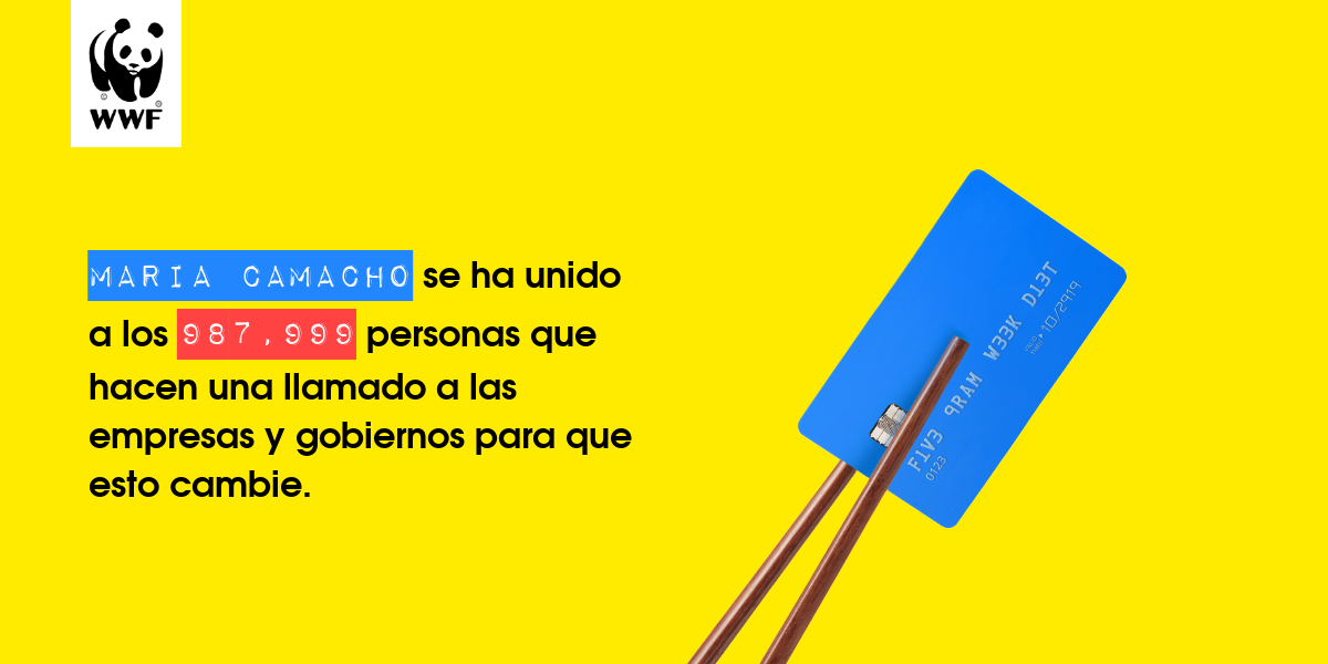 Plastic diet result for Maria Camacho