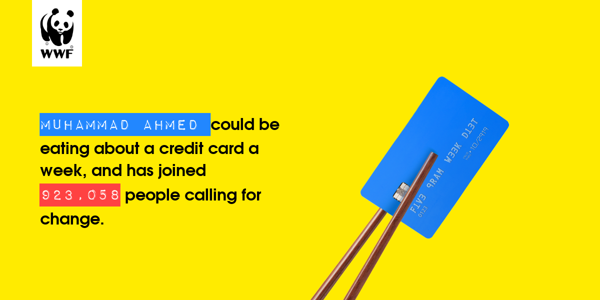 Plastic diet result for Muhammad Ahmed 