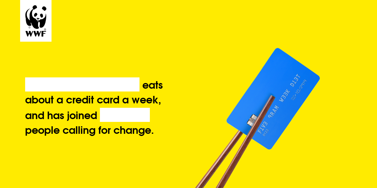 Plastic diet result for Lizzie Nicholson