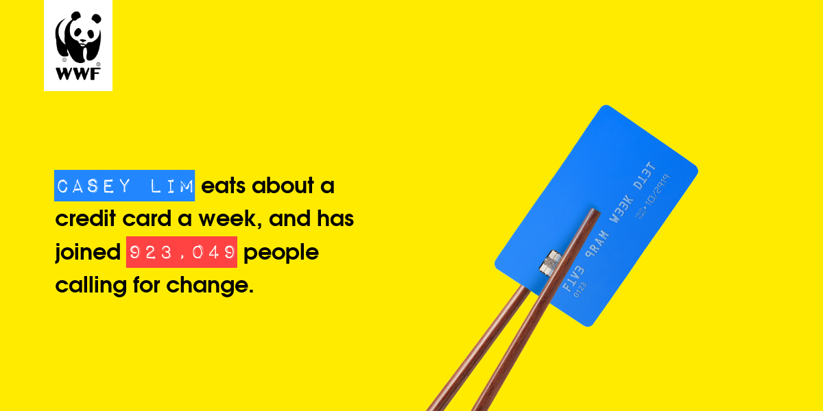 Plastic diet result for Casey Lim