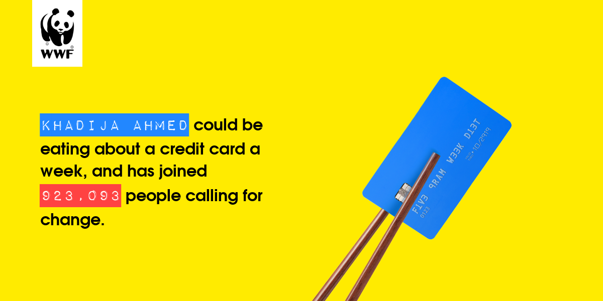 Plastic diet result for Khadija ahmed