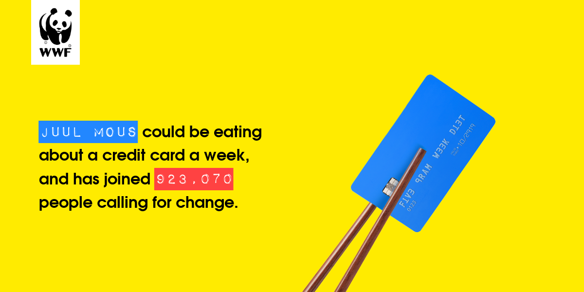 Plastic diet result for Juul Mous