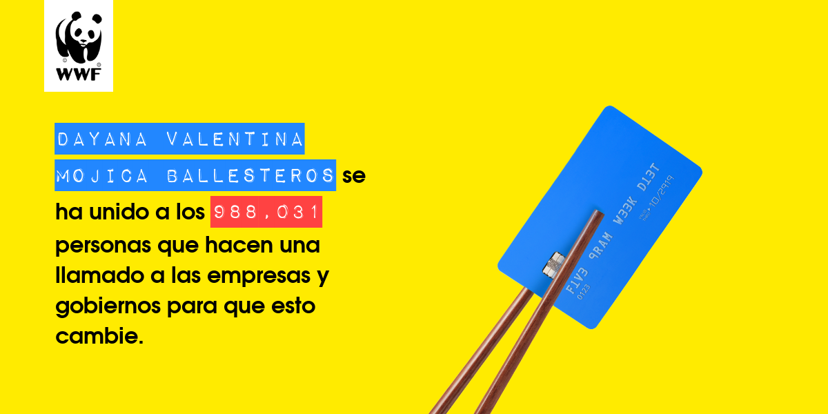 Plastic diet result for Dayana Valentina Mojica Ballesteros