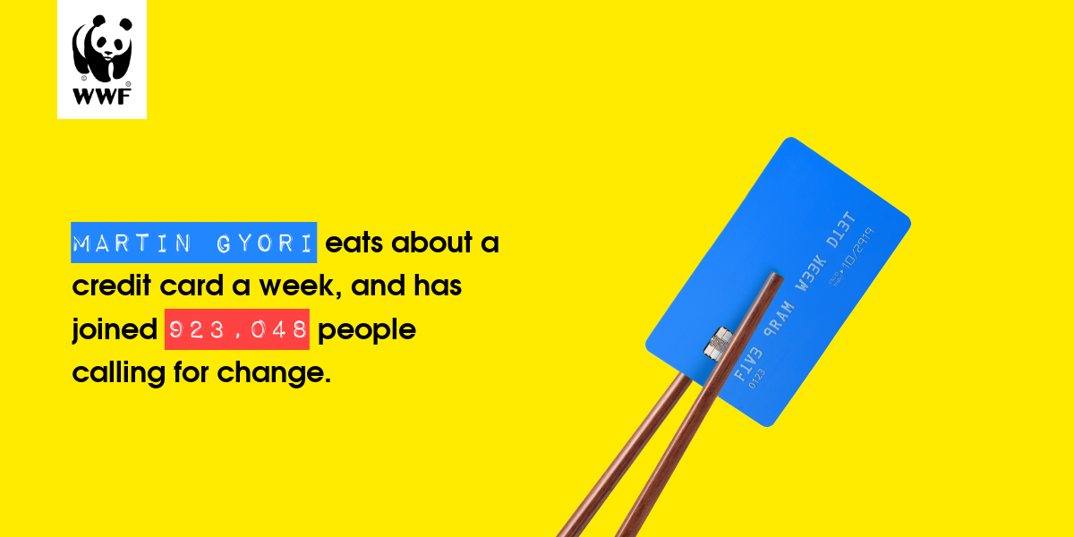 Plastic diet result for Martin Gyori