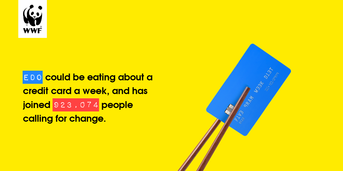 Plastic diet result for Edo