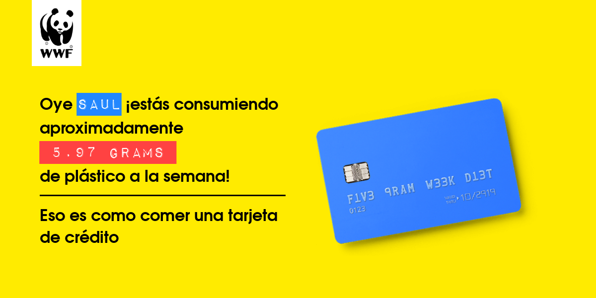 Plastic diet result for saul