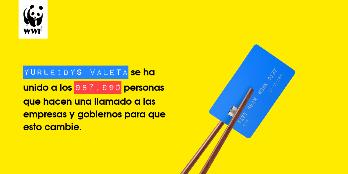 Plastic diet result for Yurleidys valeta