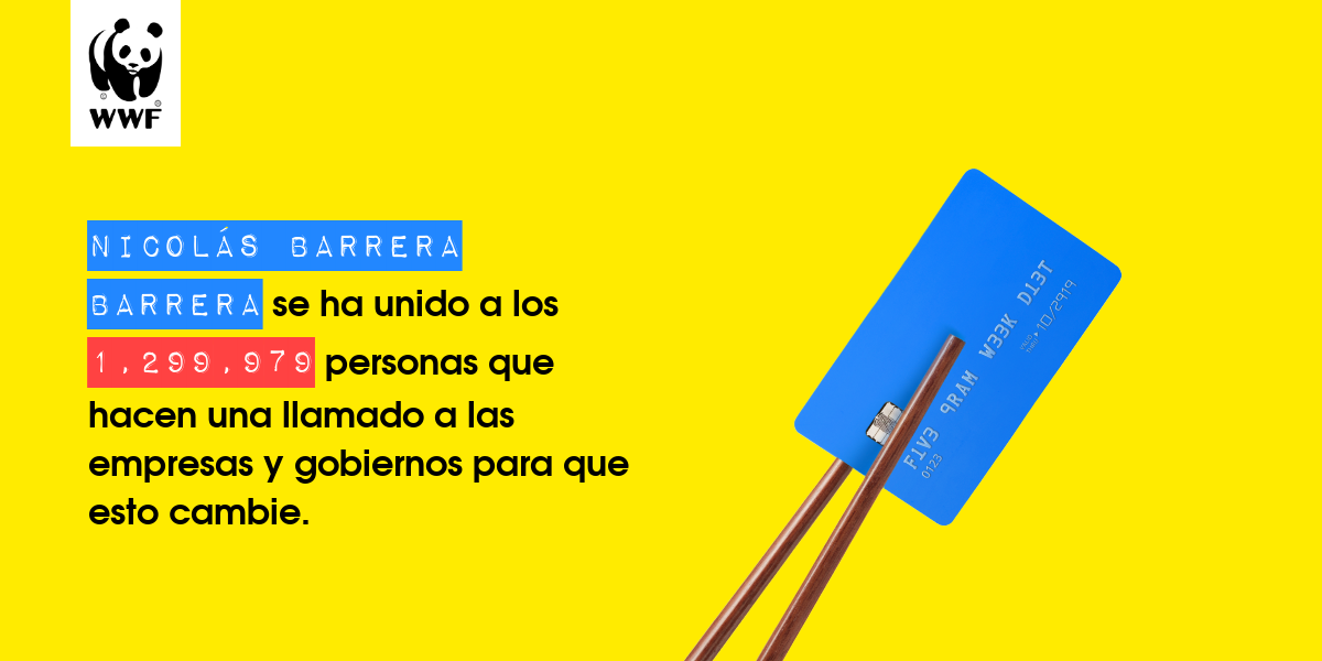 Plastic diet result for Nicolás Barrera Barrera