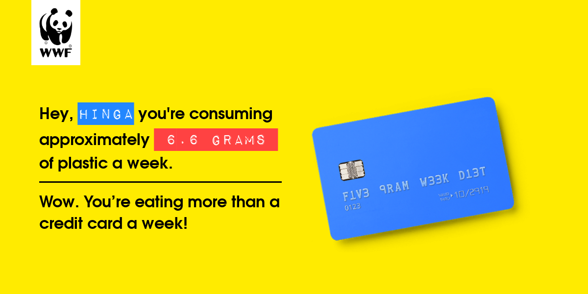 Plastic diet result for Hinga