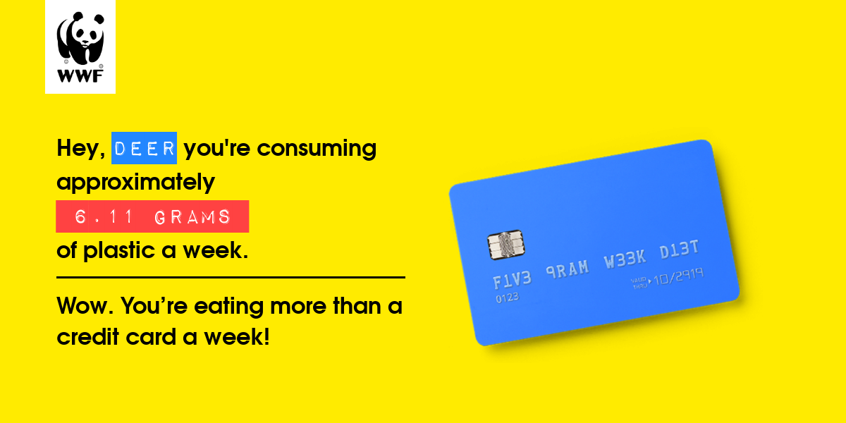 Plastic diet result for deer