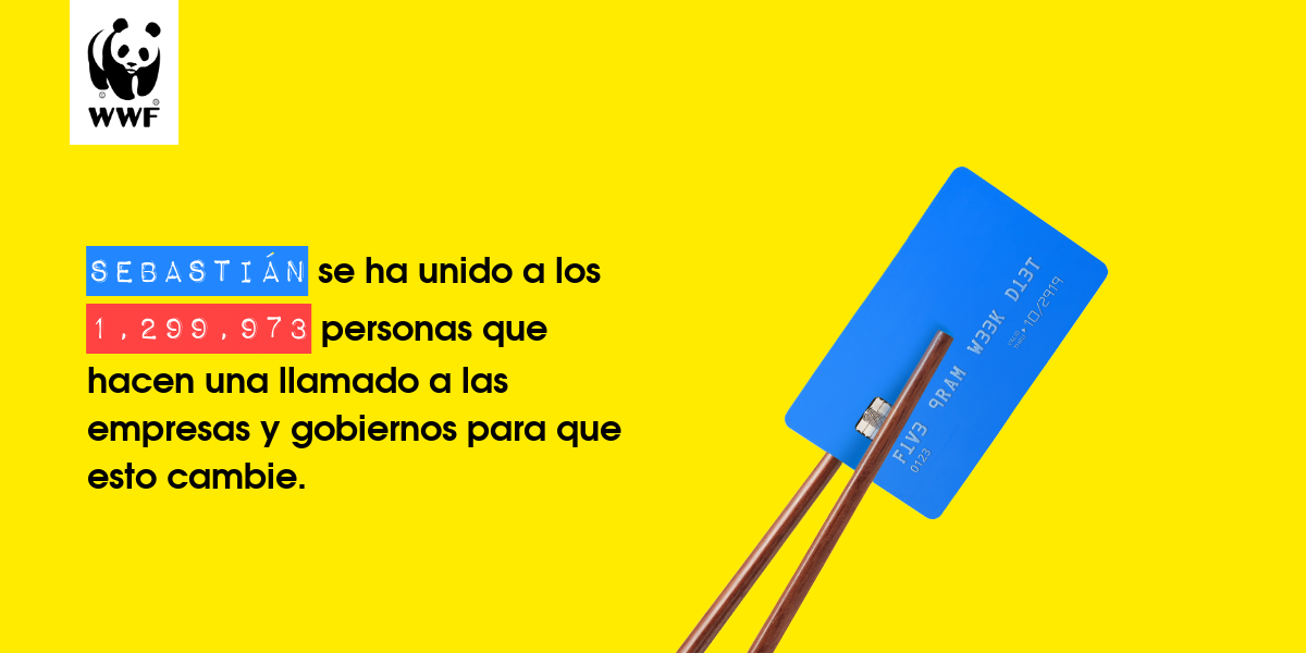 Plastic diet result for Sebastián