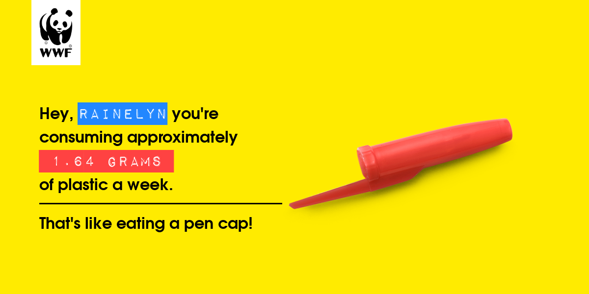 Plastic diet result for rainelyn