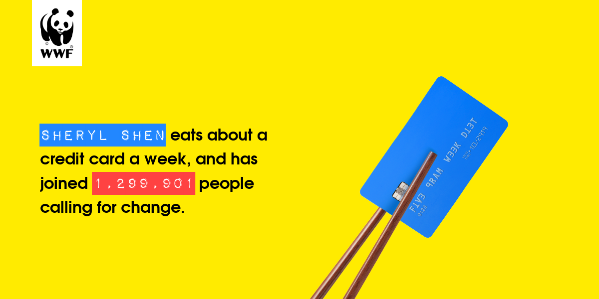 Plastic diet result for Sheryl Shen