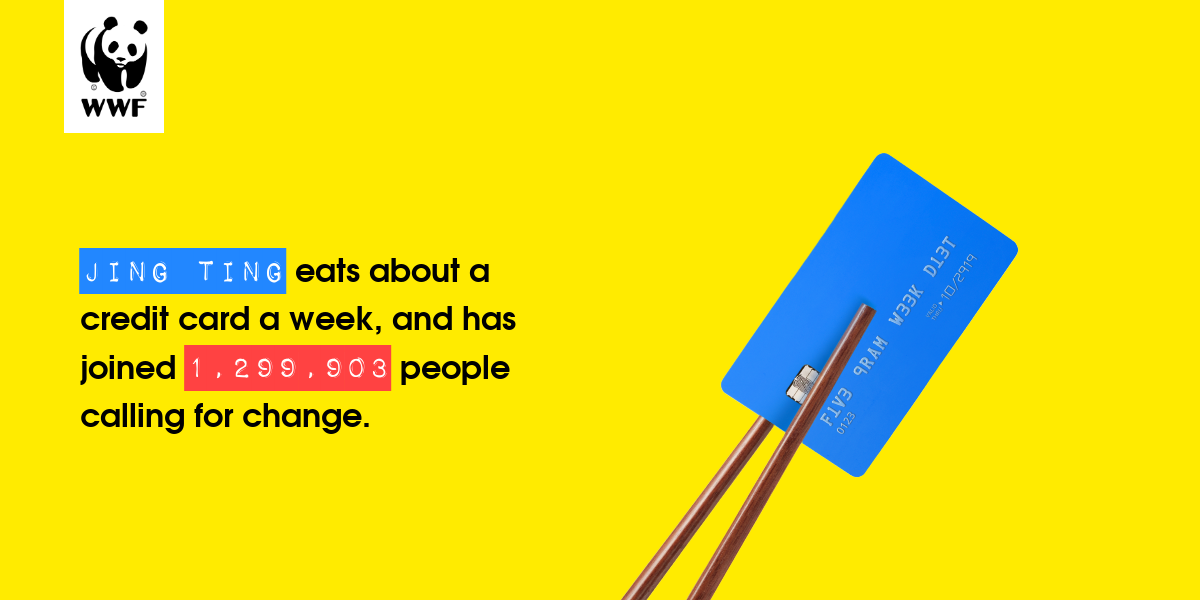 Plastic diet result for Jing ting