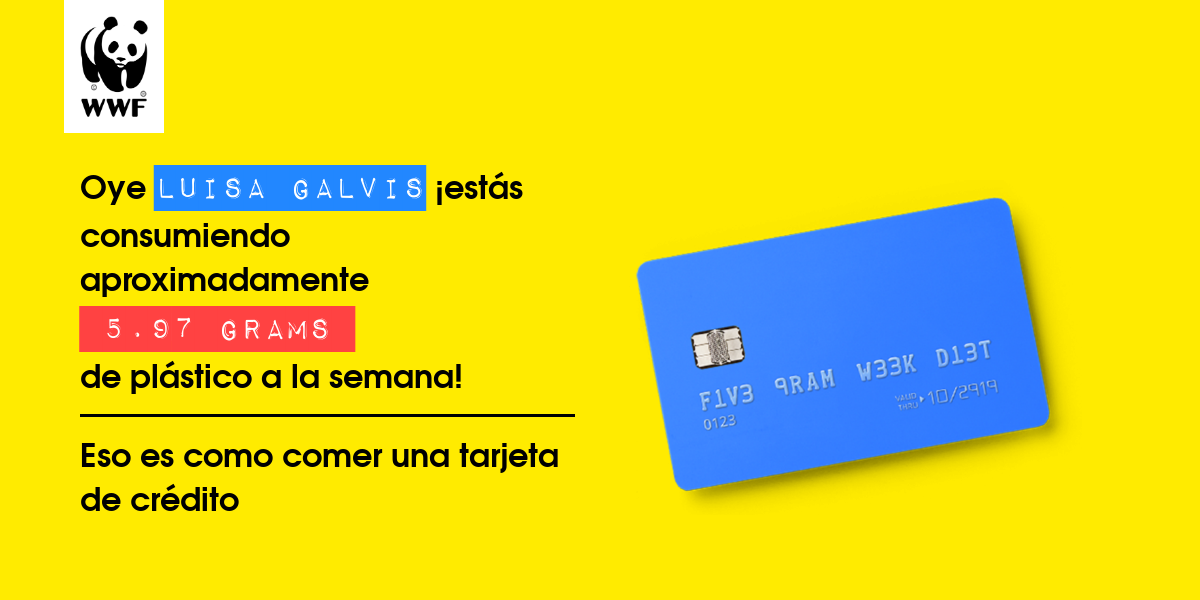 Plastic diet result for LuiSa galvis