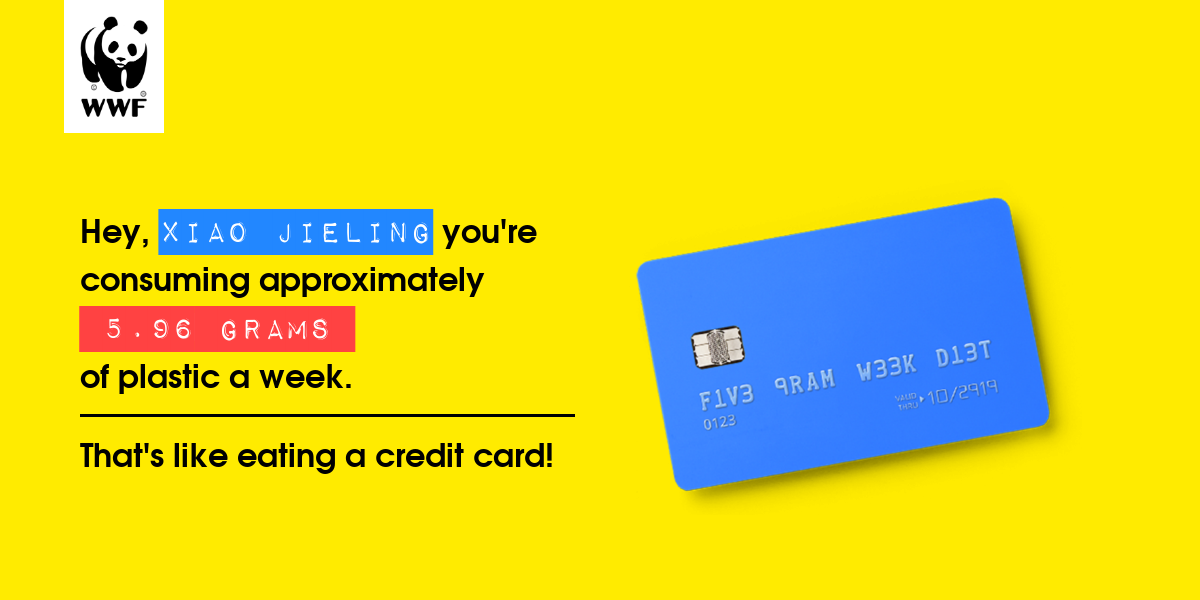 Plastic diet result for Xiao Jieling