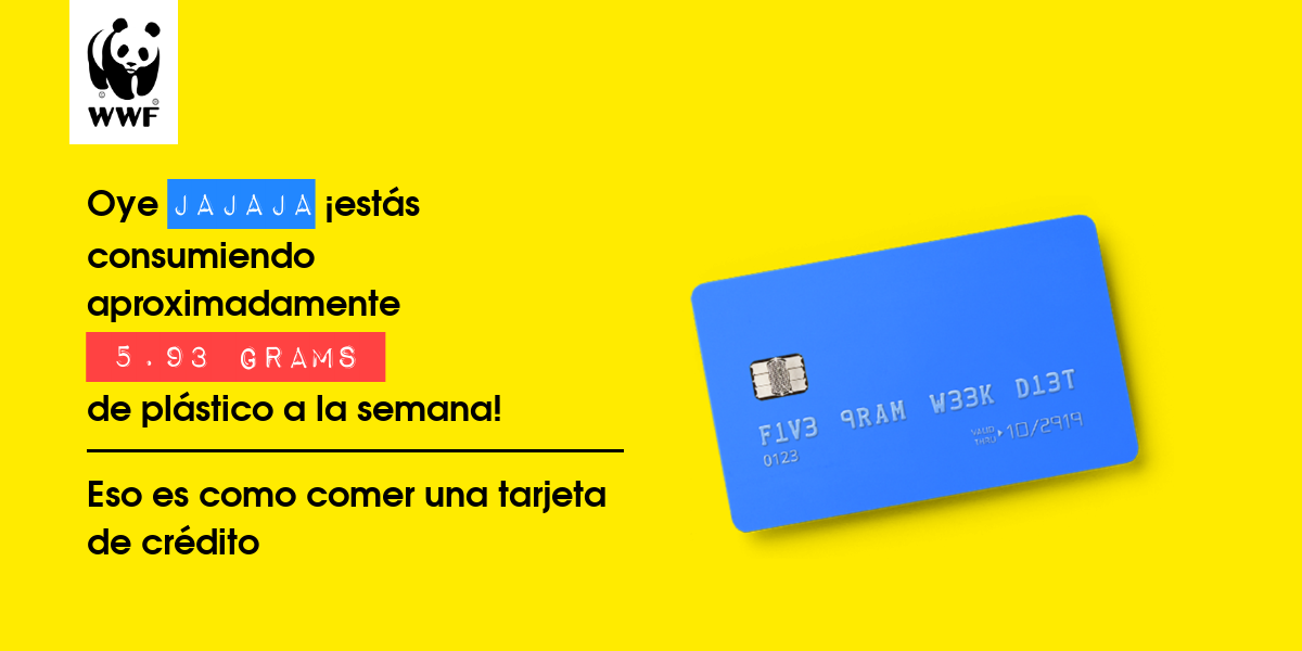 Plastic diet result for jajaja