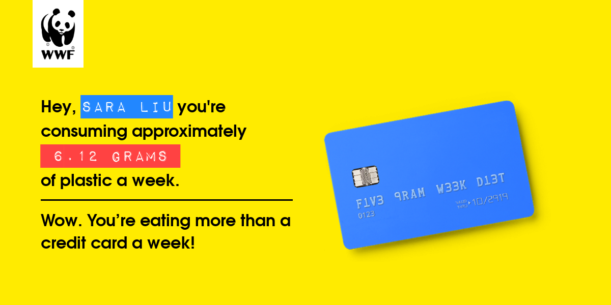 Plastic diet result for SARA LIU