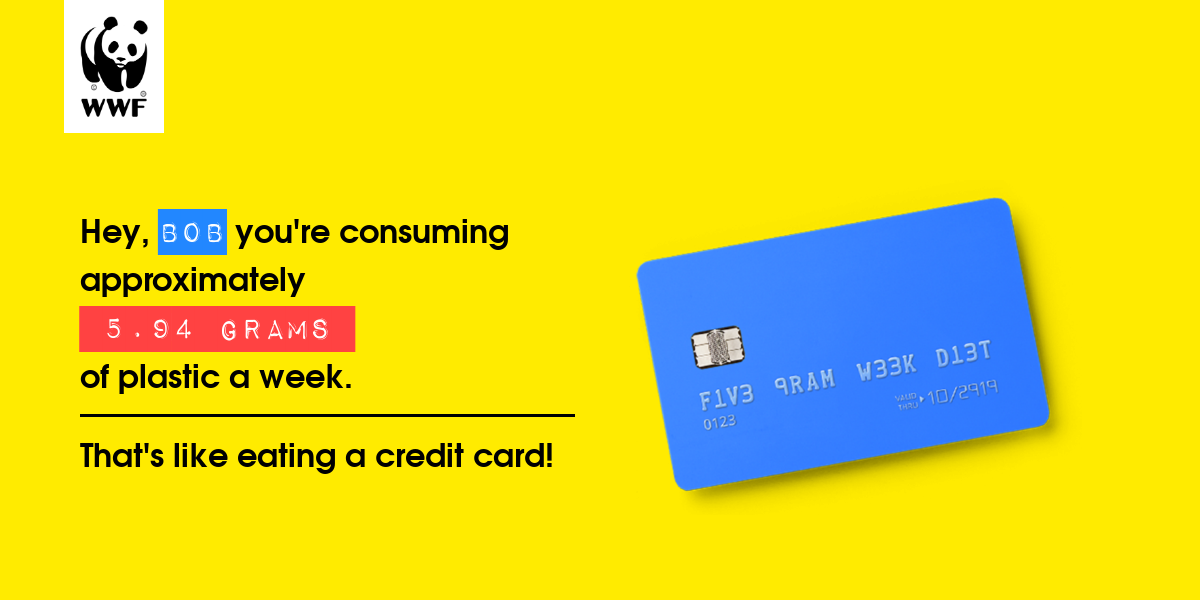 Plastic diet result for Bob