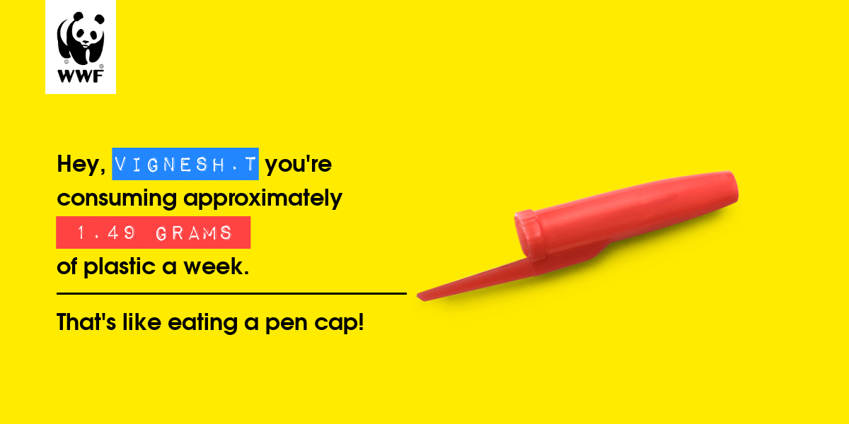 Plastic diet result for vignesh.t