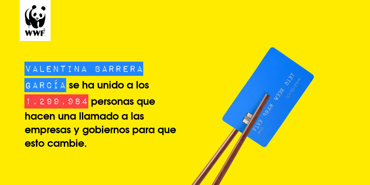 Plastic diet result for Valentina Barrera García