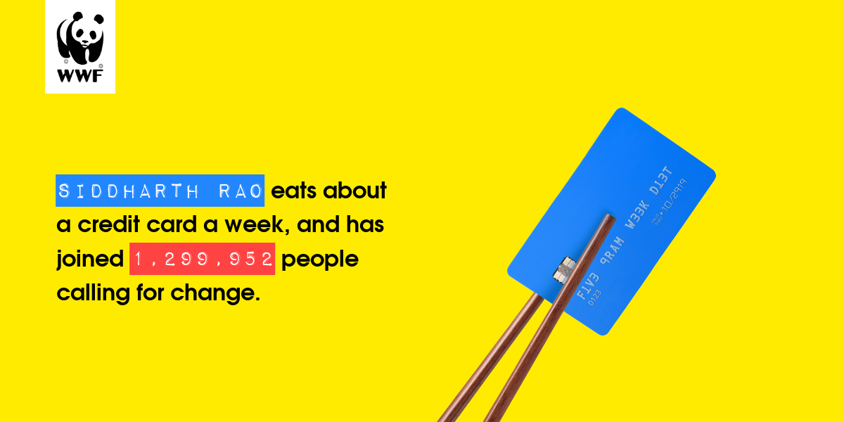 Plastic diet result for Siddharth Rao