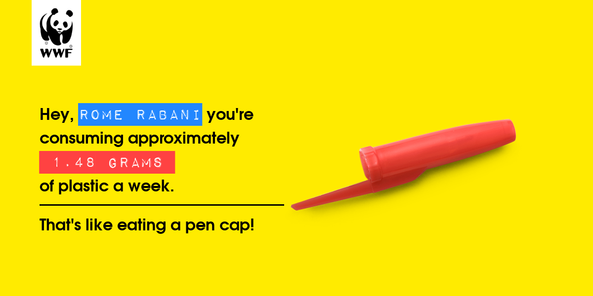 Plastic diet result for rome rabani