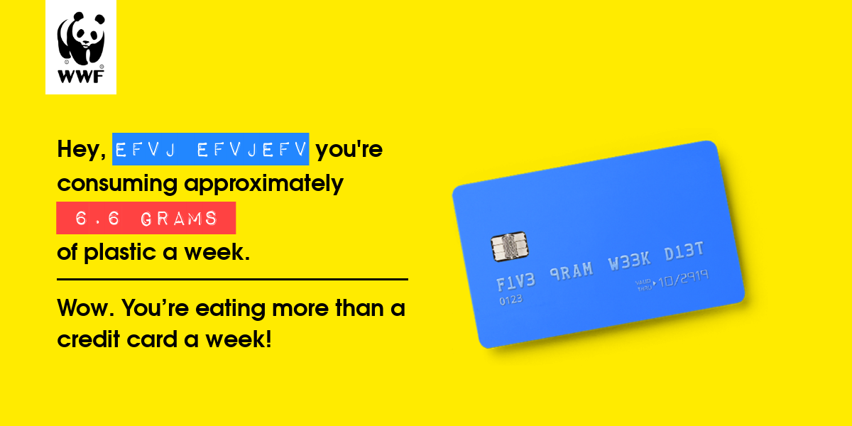 Plastic diet result for efvj efvjefv