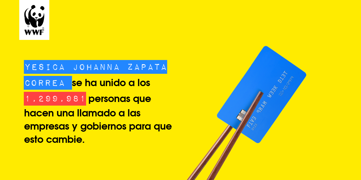 Plastic diet result for Yesica Johanna zapata correa 