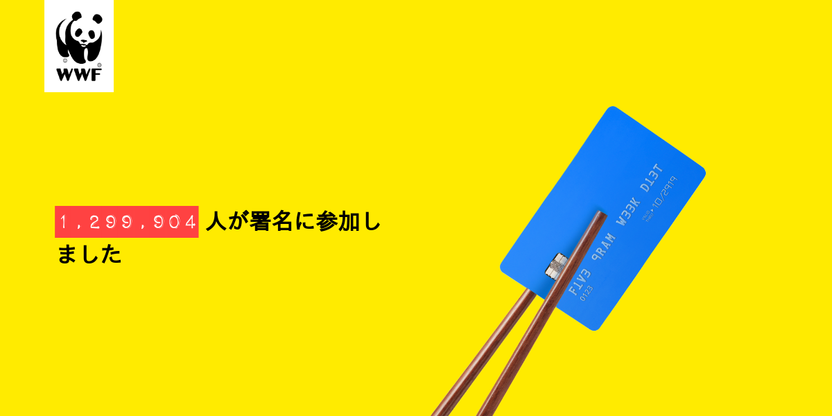 Plastic diet result for 小寺　達也