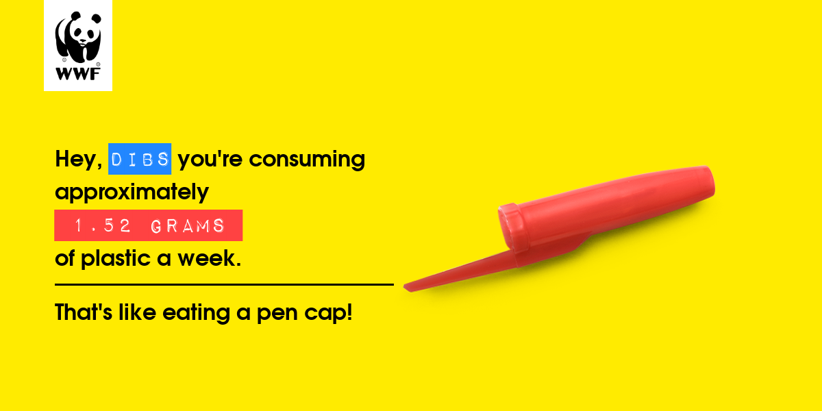 Plastic diet result for dibs