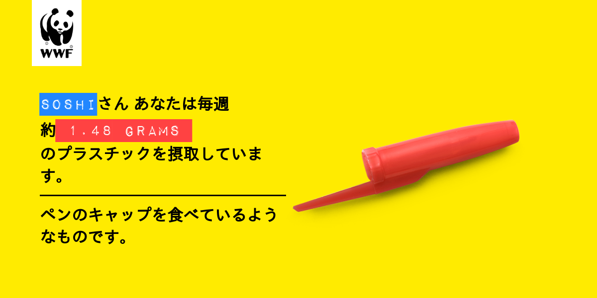 Plastic diet result for Soshi