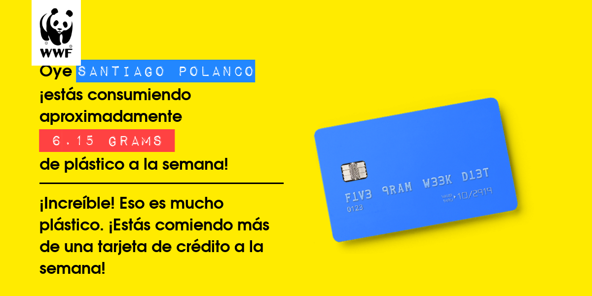 Plastic diet result for Santiago polanco