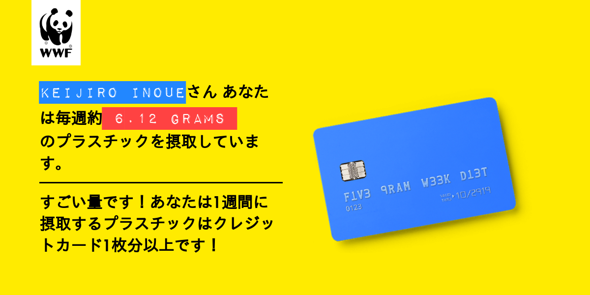 Plastic diet result for keijiro inoue