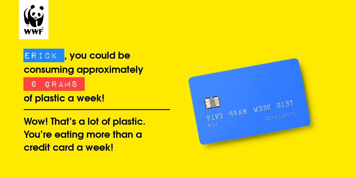 Plastic diet result for Erick 