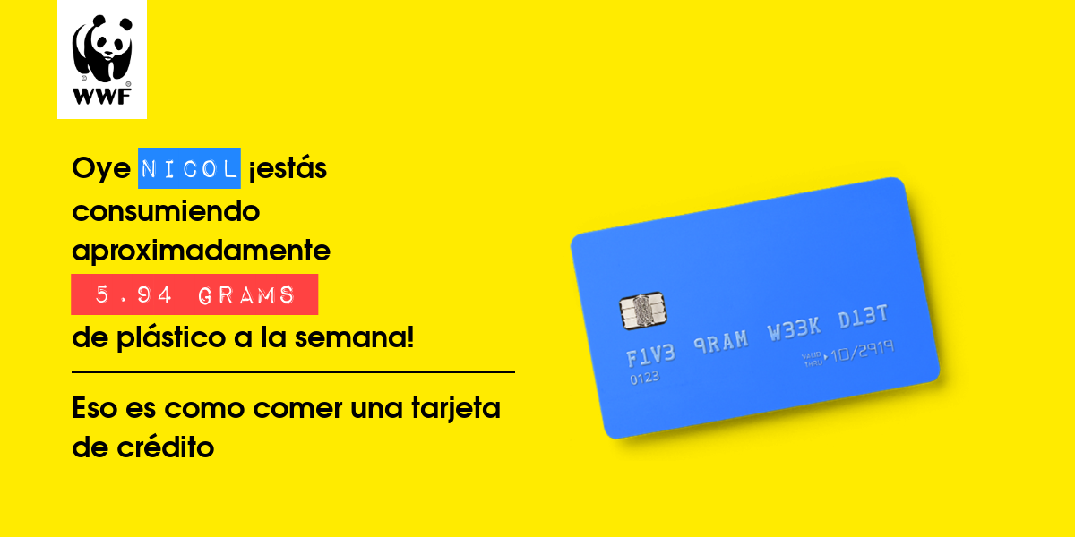 Plastic diet result for Nicol