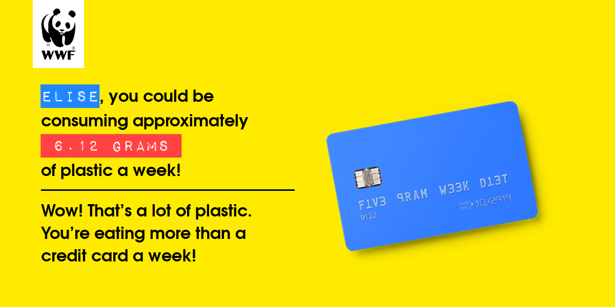 Plastic diet result for Elise