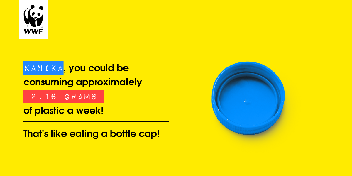 Plastic diet result for Kanika