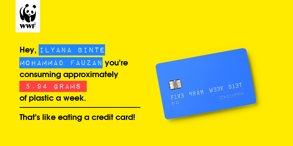 Plastic diet result for Ilyana Binte Mohammad Fauzan