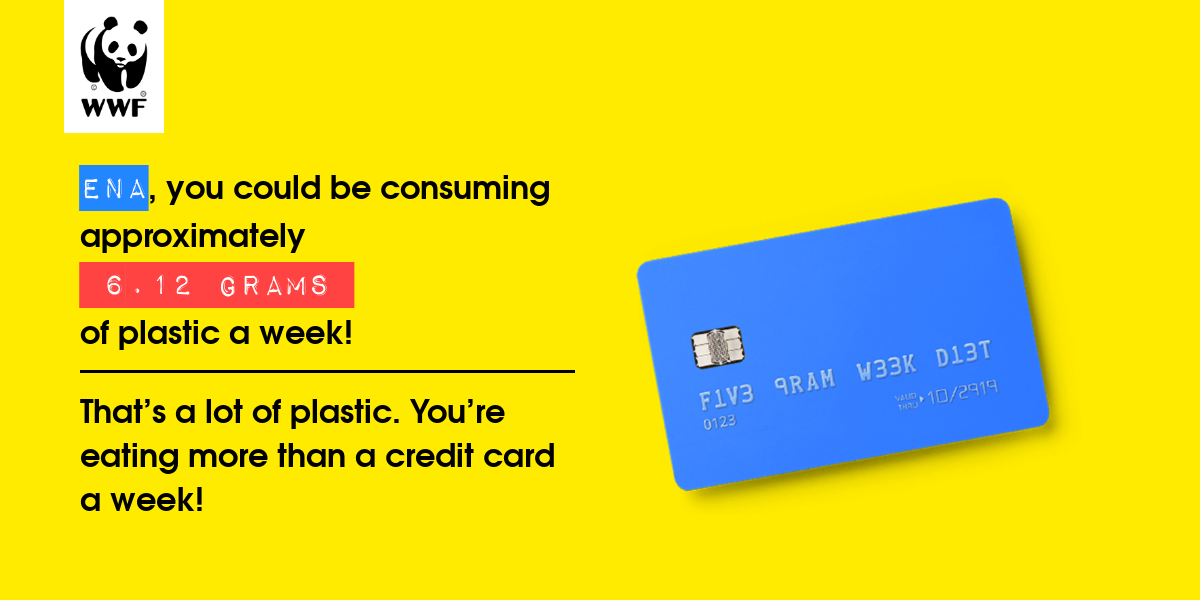 Plastic diet result for Ena