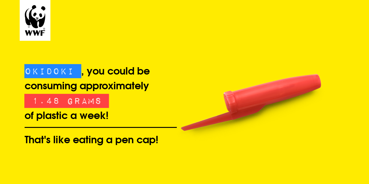 Plastic diet result for Okidoki 