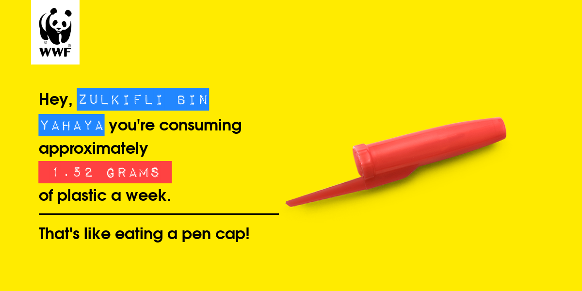 Plastic diet result for ZULKIFLI BIN YAHAYA