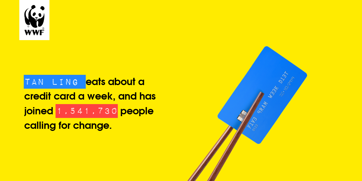 Plastic diet result for Tan Ling 