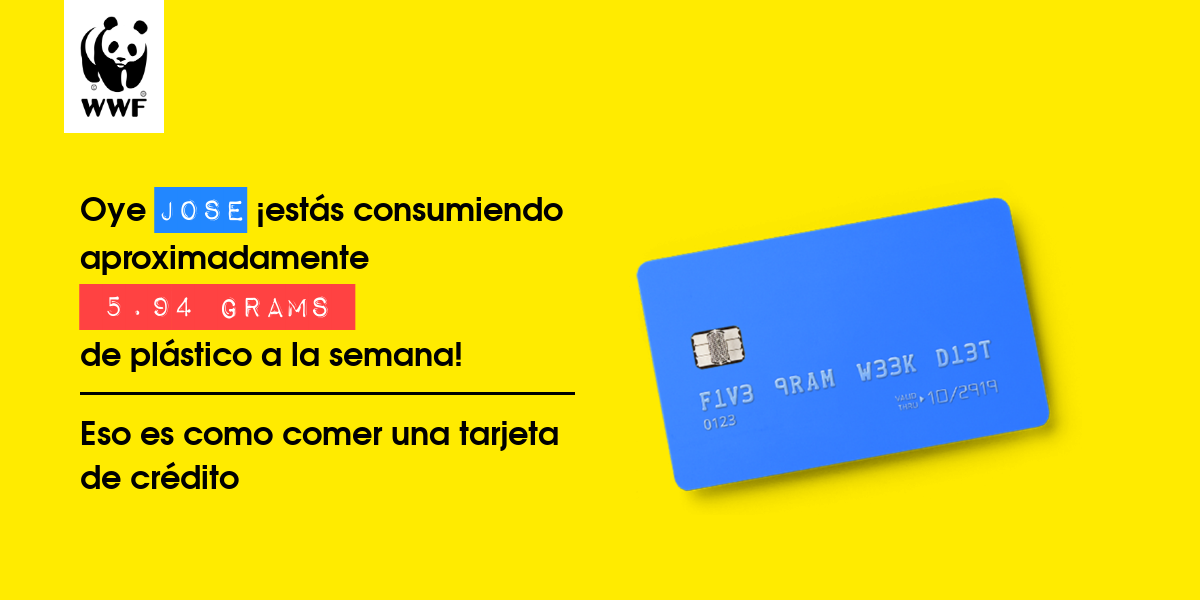 Plastic diet result for Jose