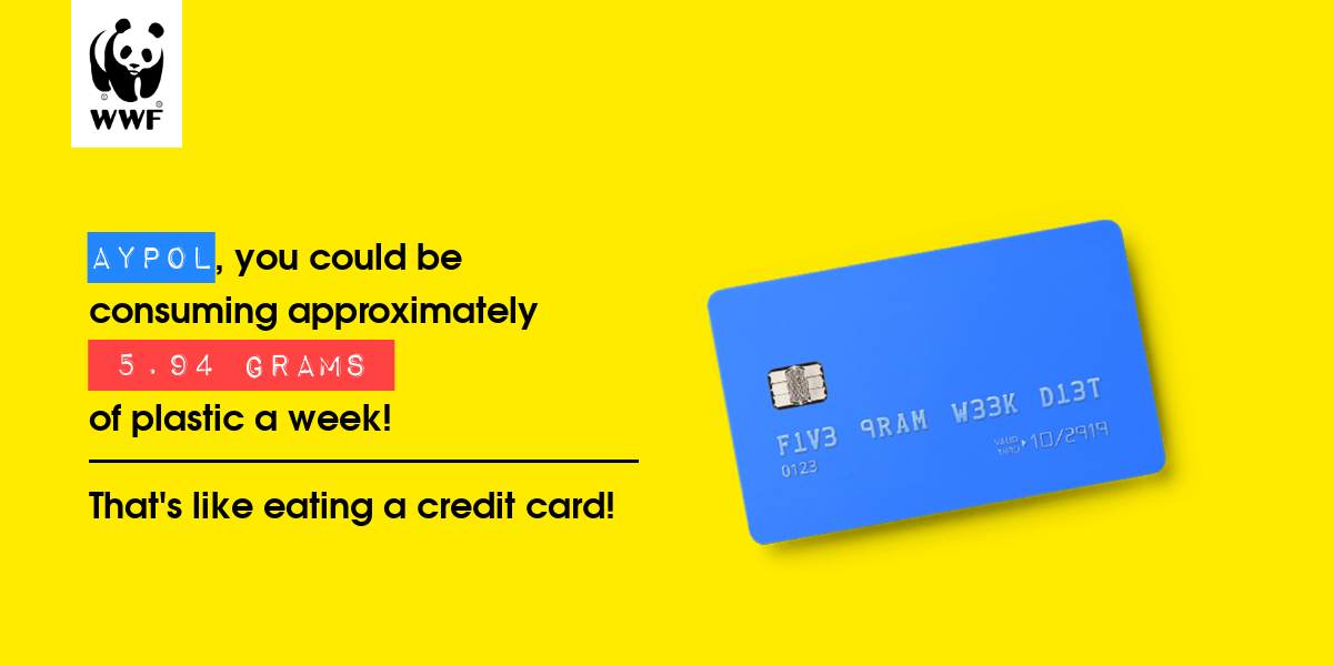 Plastic diet result for Aypol