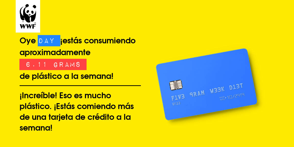 Plastic diet result for Day 