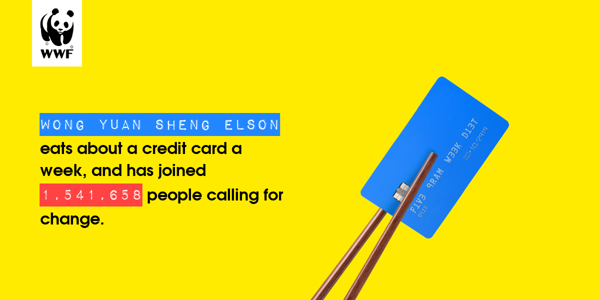 Plastic diet result for Wong yuan sheng elson