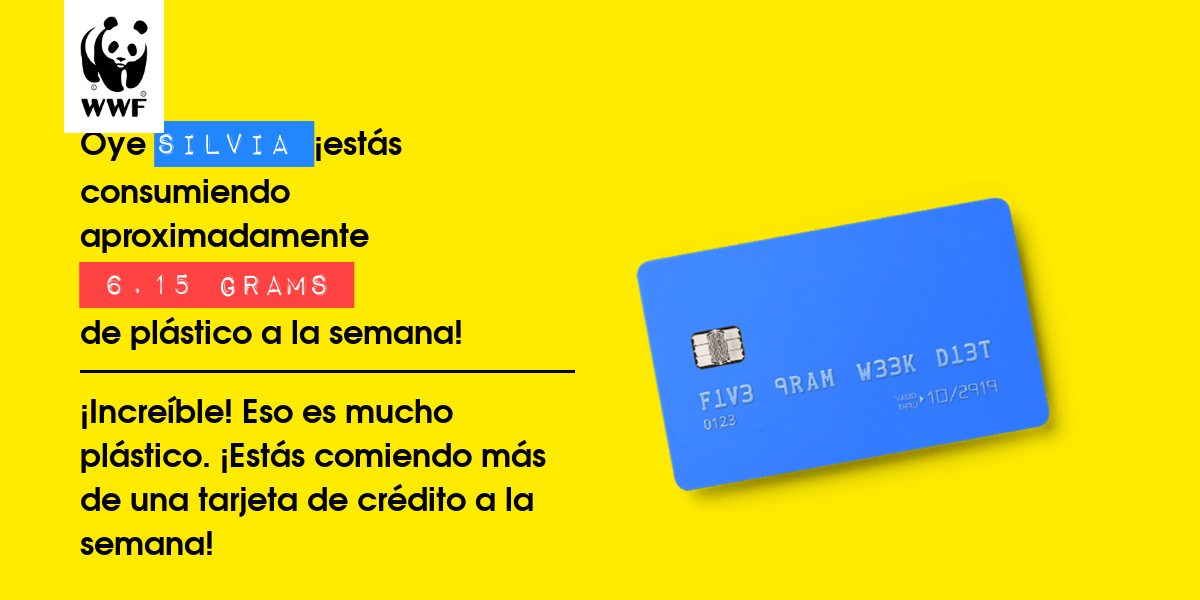 Plastic diet result for Silvia 