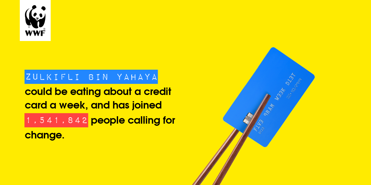 Plastic diet result for ZULKIFLI BIN YAHAYA