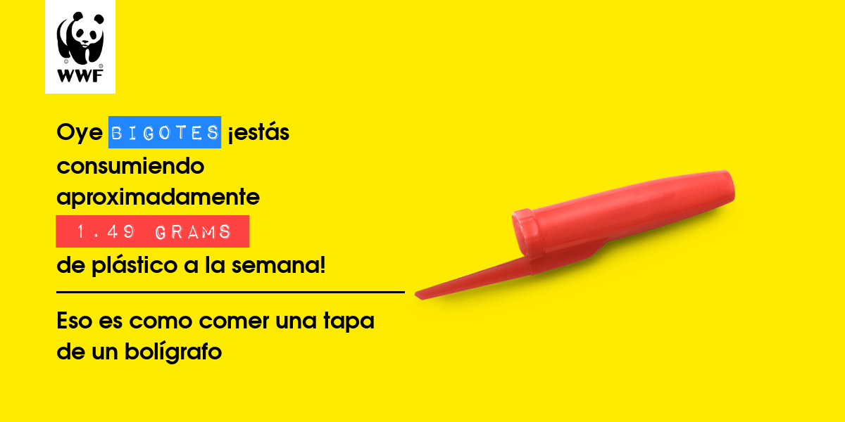 Plastic diet result for Bigotes